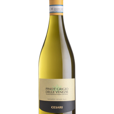 Pinot grigio cesari - White